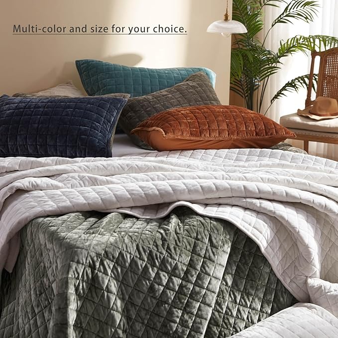 LEAONME Velvet Quilt Oversized California King-120''x120'', Lightweight White Velvet Comforter Set with 2 Pillow Shams, Oversized Bedspread Coverlet Quilted Bedding Set for All Season