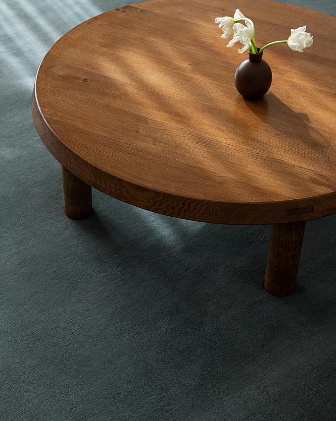 Hand-Tufted Wool Runner Area Rug – Soft Premium Wool Carpet for Living Room, Bedroom & Home Décor – 3X10 ft| Pale Green – Durable, Non-Slip Backing, Handcrafted Rug