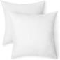 Amazon Basics Square Hypoallergenic Pillow Insert, Sofa Bed Couch Decorative Stuffer, 20", 2 Pack