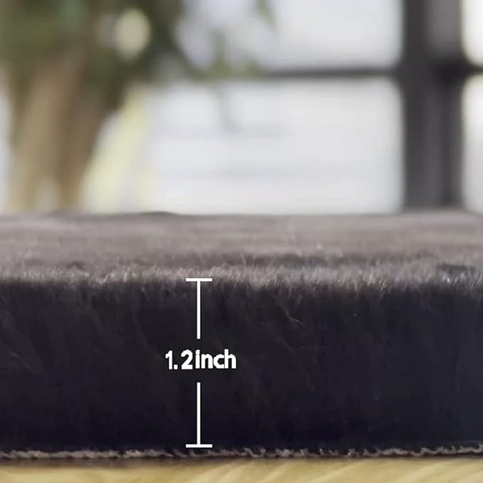 Black Fluffy Living Room Furry Rugs for Living Room Washable Shaggy Area Rugs for Bedroom 4x6 Rug for Nursery Decor