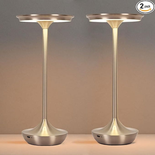 EJQ Cordless Table Lamp Rechargeable, 6000mAh Battery Operated LED Table Lights Outdoor Portable Touch Dimmable Table Lamp for Bedroom Patio Cofee Restaurant Dining Home Set of 2-Silver