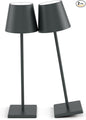 2 Packs LED Cordless Table Lamp, Rechargeable Battery Desk lamp 5500mAh Battery Operated Stepless Dimming Modern Portable Table Light for Restaurant/Table/Bedroom/Outdoor IP54 Waterproof (Anthracite)