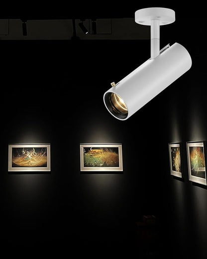LED Ceiling Spotlight, 9w Cob Ceiling Spot Light, Zoomable Light, Narrow Beam Angle Adjustable Anti-Glare Ra>90 for Hotel Art Gallery Restaurant Lighting