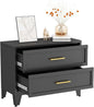 Metal Dressers, Black Small Dresser for Bedroom, 24.76" H Dressers & Chests of Drawers, Dresser and Nightstand Sets for Living Room, Entryway, Hallyway (Black, 2 Drawers)