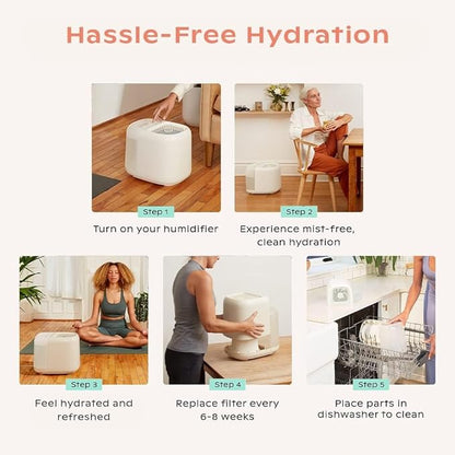 Canopy Large Room Humidifier, Cream, Large Living Space, 36HR Run Time, 5.5L Tank - Includes Canopy Humidifier Plus, Diffusion Well, Unwind Aroma, Filter, Power Cord & Adapter