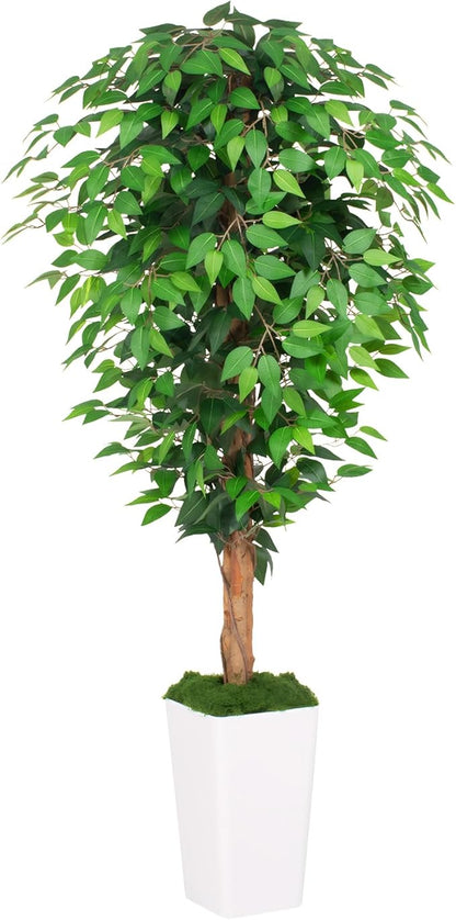 5ft Ficus Artificial Tree with 3 Natural Curved Trunks, 60" Tall Lush Faux Tree for Home Decor Indoor, Green Lifelike Fake Ficus Tree with White Planter Pot