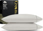 Mayfair Linen 100% Egyptian Cotton King Pillow Cases Set of 2 - Luxury 2000 Series King Size Pillowcases, Soft Cooling Breathable, Envelope Closure Hotel Quality Pillowcase (21 x 41, Light Grey)