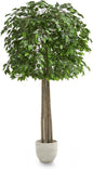 Maia Shop Decorative Artificial Plants - Artificial Ficus Tree 6.5ft Natural Trunks, Big Artificial Plant, Home Decor, Artificial Tree