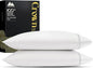 Mayfair Linen Standard Pillowcases Set of 2 - Luxury 2000 Series 100% Egyptian Cotton Standard/Queen Size Pillow Cases, Soft Cooling, Envelope Closure Hotel Quality Pillowcase (21 x 32, White)