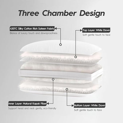 Globon Luxury Down Pillows Queen Size Set of 2 for Side Sleepers, 100% Cotton Shell Hotel Collection Bed Pillow for Sleeping, Firm Down Surrounded Feather Pillow 20" x 30"