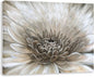 Floral Wall Art in Neutral Color Modern Farmhouse Canvas Decor White Chrysanthemum Flower Picture Hanging Framed Artwork for Office Bedroom Living Room