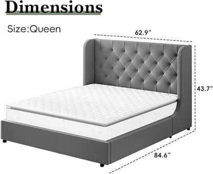 HOMBCK Grey Queen Bed Frame, Velvet Upholstered Platform Bed Frame with Headboard, Curved Wingback Design, Wooden Slats, No Box Spring, Noise Free, Easy Assembly