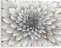 Floral Wall Art in Neutral Color Modern Canvas Decor in Glam Style Framed Artwork with Embellishment Texture Dahlia Flower Picture in White Grey Cream Hues for Office