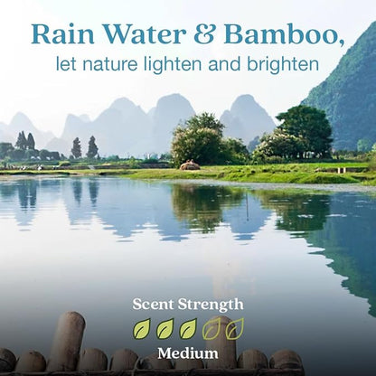 Enviroscent Non-Toxic Air Freshener for Home Essential Oil Diffuser | Fragrance Lasts Over 30 Days | Kit includes 1 Mango Wood Stand & 1 Scent Stix Refill (Rainwater & Bamboo)