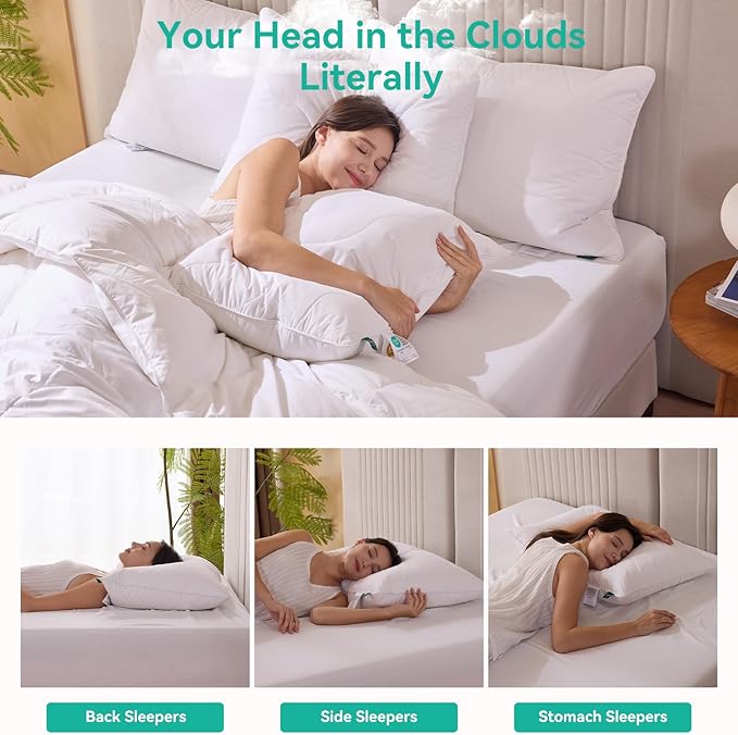 Three Geese White Goose Feather Down Pillows King Size(20x36inches) 2 Pack- 100% Cotton, Medium Firm,Soft Support