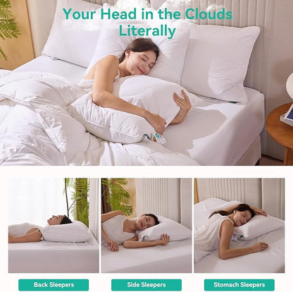 Three Geese White Goose Feather Down Pillows Standard Size, Cotton Pillows Set of 2-100% Cotton, Medium Firm,Soft Support