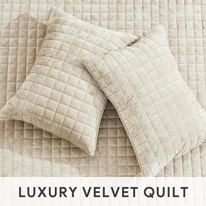 RECYCO Luxury Velvet Quilt Set Full Queen Size Bedding Sets, Ultra Soft Velvet Comforter Set, Lightweight Channel Box Stitch Oversized Bedspread Coverlet for All Season, with 2 Shams, Beige