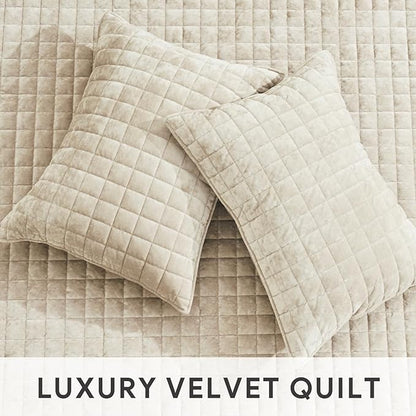 RECYCO Luxury Velvet Quilt Twin/Twin XL Size Bedding Set, Ultra Soft Velvet Comforter Set, Lightweight Quilted Channel Box Stitch Oversized Bedspread Coverlet for All Season, with 1 Sham, Beige