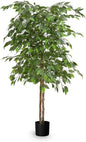 Maia Shop 5ft Artificial Ficus Tree Plant for House, Apartment or Office – Realistic Fake Indoor Plants for Living Room, Kitchen, Bedroom, Entryway or Bathroom – Faux Greenery for Home Décor