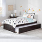 AFI Concord Twin Size Platform Bed with Footboard & Twin Trundle in Espresso