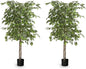 Maia Shop 2 Pack, 5ft Artificial Ficus Tree, Fake Plants for Home Decor, Natural Wood Trunk