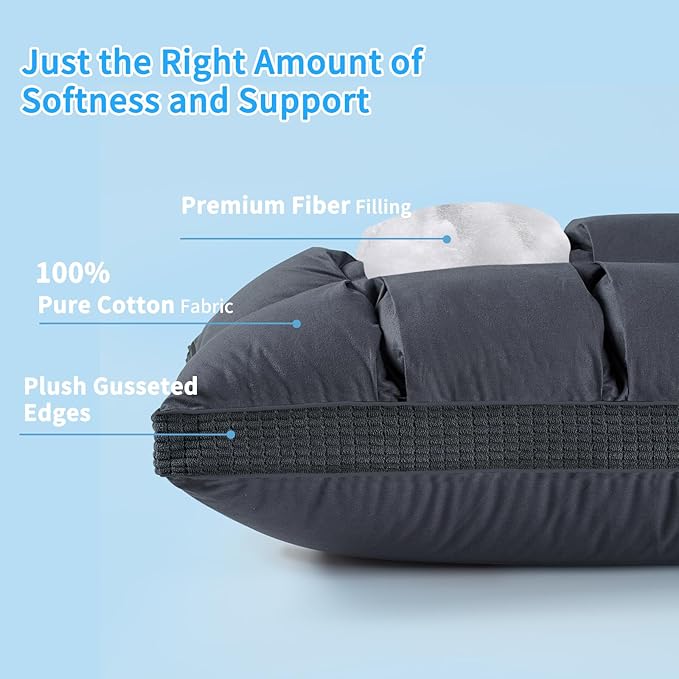 YOUR MOON Soft Pillow Queen Size of 2 for Sleeping, Super Soft Support Down Alternative Pillow, 100% Cotton Shell Luxury Comfy Fluffy Bed Pillows for Sleep(Gray)