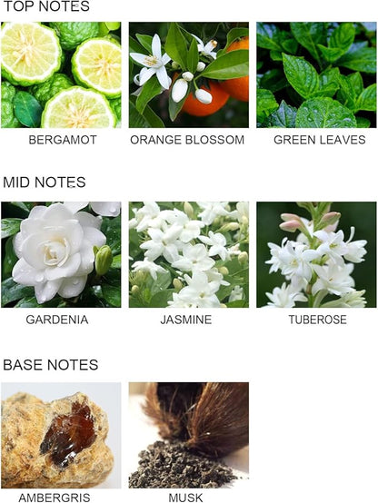 UCC Reed Diffuser Set, 3.38 oz Gardenia in Blossom Premium Scented Diffuser with Flower Sticks Home Fragrance Reed Diffuser for Bathroom Shelf Decor