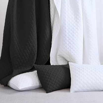 HORIMOTE HOME Quilt Set Queen Size, Black Bedspread with Clouds Pattern, Soft Coverlet Set Lightweight Microfiber Quilted Bedspread for All Season, Includes 1 Quilt and 2 Pillow Shams