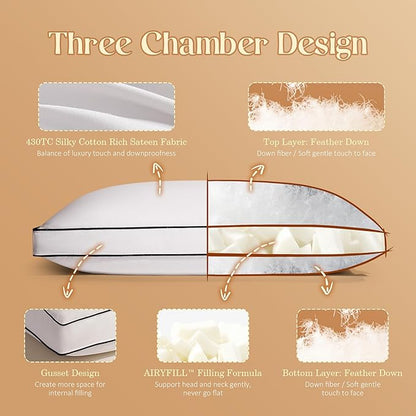 Feather Down Pillows Queen Size Set of 2 with Gusset, Luxury Hotel Collection Bed Pillow 2 Pack, Down Surrounded Gusseted Pillows for Sleeping, Soft Fluffy for Side, Back Sleepers 20x28+2 in.