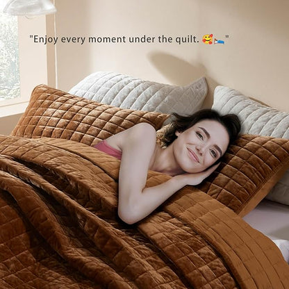 LEAONME Velvet Quilt Full/Queen Size-90''x98'', Lightweight Caramel Velvet Comforter Set with 2 Pillow Shams, Soft Bedspread Coverlet Quilted Bedding Set for All Season