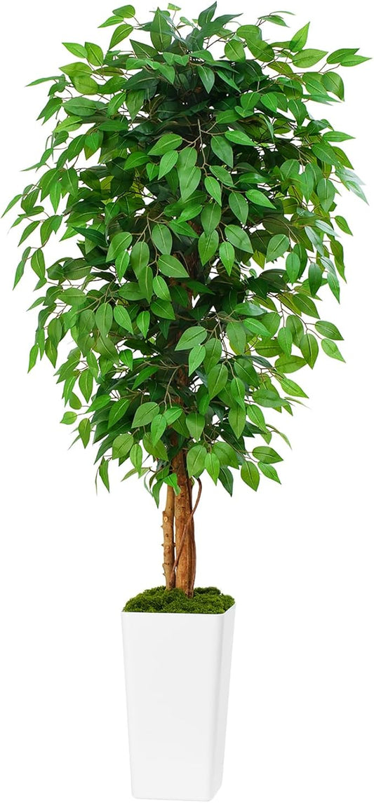6ft Ficus Artificial Tree with 3 Natural Curved Trunks, 74" Tall Lush Faux Tree for Home Decor Indoor, Green Lifelike Fake Ficus Tree with White Planter Pot