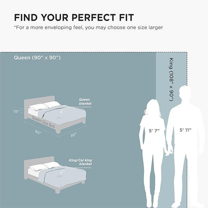 Bedsure GentleSoft Fleece Bed Blankets Queen Size Light Blue - Soft Lightweight Plush Fuzzy Cozy Luxury Blanket Microfiber, 90x90 inches