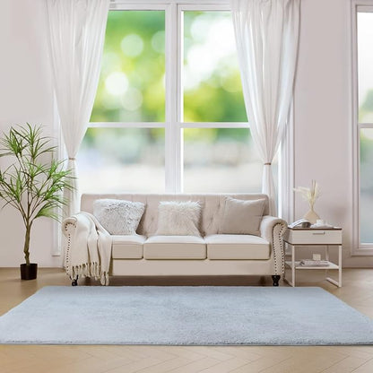 duduta Grey Soft Fluffy Rectangle Rug 3x5 ft, Shag Furry Plush Throw Rug for Bedroom Nursery Living Room Home Decor