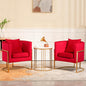 Velvet Modern Accent Chairs Set of 2, Upholstered Barrel Armchair Mid Century with Pillow for Living Room, Comfy Single Vanity Chair with Metal Gold Legs for Bedroom, Rose Red