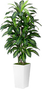 Artificial Dracaena Plant Indoor 5FT - Fake Tree with White Tall Planter - Faux Yucca Tall Fake Floor Plant in Pot - Artificial Trees for Home Office Living Room Decor Indoor