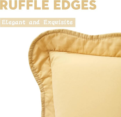 CHIXIN Microfiber King Pillow Shams Set of 2 - Decorative Quilted Pillow Covers - Lagoon - Size (20" x 36")