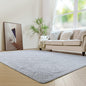 duduta 6x9 ft Grey Rectangle Fluffy Rug, Shag Fuzzy Plush Carpet for Bedroom Nursery Living Room Home Decor