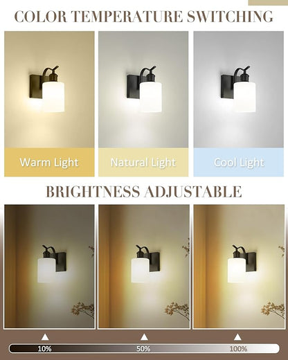 1-Light Bathroom Wall Sconce, Matte Black Modern Wall Light Fixture with Frosted Glass Shade RGB Bulb, RGB 12 Colors Modes Rechargeable Wall lamp for Bedroom Living Room, ZCVL01BK-1B