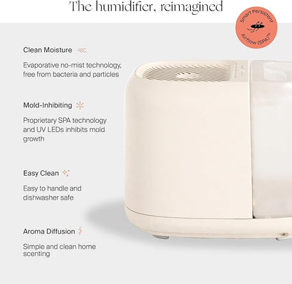 Canopy Large Room Humidifier, Cream, Large Living Space, 36HR Run Time, 5.5L Tank - Includes Canopy Humidifier Plus, Diffusion Well, Unwind Aroma, Filter, Power Cord & Adapter