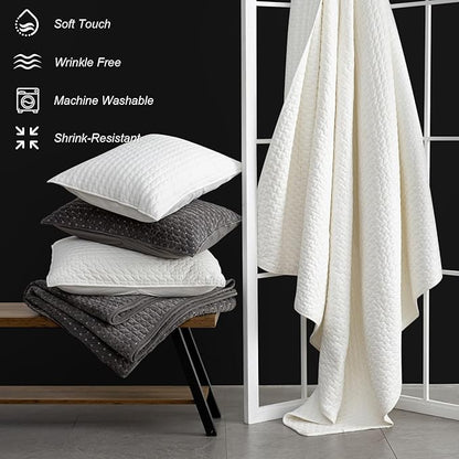 Powdion Velvet Quilt Queen Size, Oversized Bedspread Quilted Bedding Set, Luxurious Soft Coverlet Set Lightweight Velvet Comforter for All Season with Pillow Shams, 90x96 Striped White