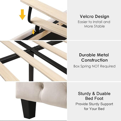 Keyluv Full Size 54.3” Tall Platform Bed Frame with Deep Button Tufted Wingback Headboard and Footboard, Velvet Upholstered Bed Frame with Handmade Pleats, No Box Spring Needed, Beige/Cream