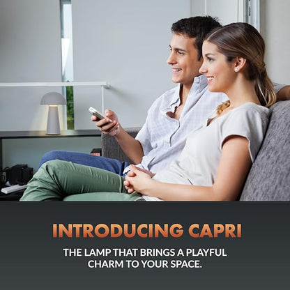 ‎Newhouse Lighting Capri, Fog Gray 2700K Dimmable Cordless USB-C Rechargeable Table Lamp NHTL-CA-GY, Cordless Desk Lamp for Living Room, Bedroom, Coffee Table, and Other Cozy Home Decor