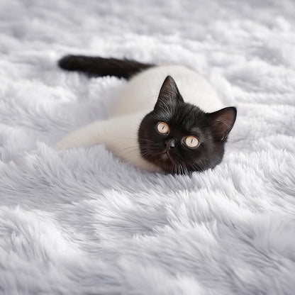 PAGISOFE Soft Comfy White Area Rugs for Bedroom Boys Living Room Fluffy Shag Furry Carpet for Kids Room Soft Shaggy Bedside Cream Rug, Plush Office Rugs Indoor Floor Rugs 4' x 6', Nursery