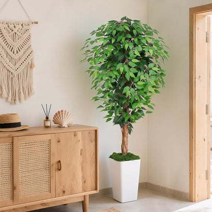 5ft Ficus Artificial Tree with 3 Natural Curved Trunks, 60" Tall Lush Faux Tree for Home Decor Indoor, Green Lifelike Fake Ficus Tree with White Planter Pot