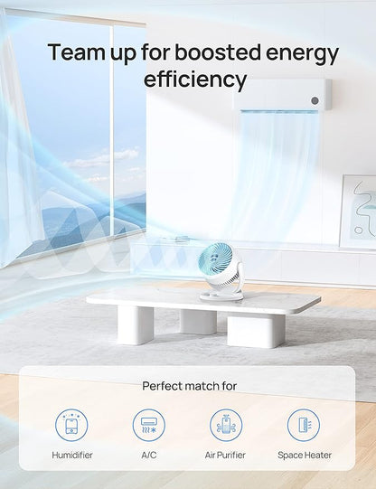 Dreo Fan for Bedroom, 12 Inches, 70ft Powerful Airflow, 28db Quiet Table Air Circulator Fans for Dorm Room, 120° Adjustable Tilt, 3 Speeds, Desktop Fan for Home, Office, Kitchen