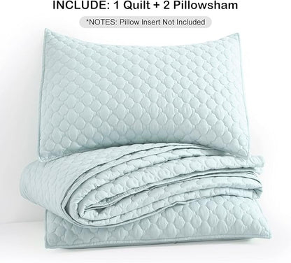 HORIMOTE HOME Quilt Queen Size Aqua Blue, Lightweight Quilt for Summer Ultra-Soft Microfiber Modern Style Quilted Clouds Pattern Bedspread Quit Set 3 Pieces
