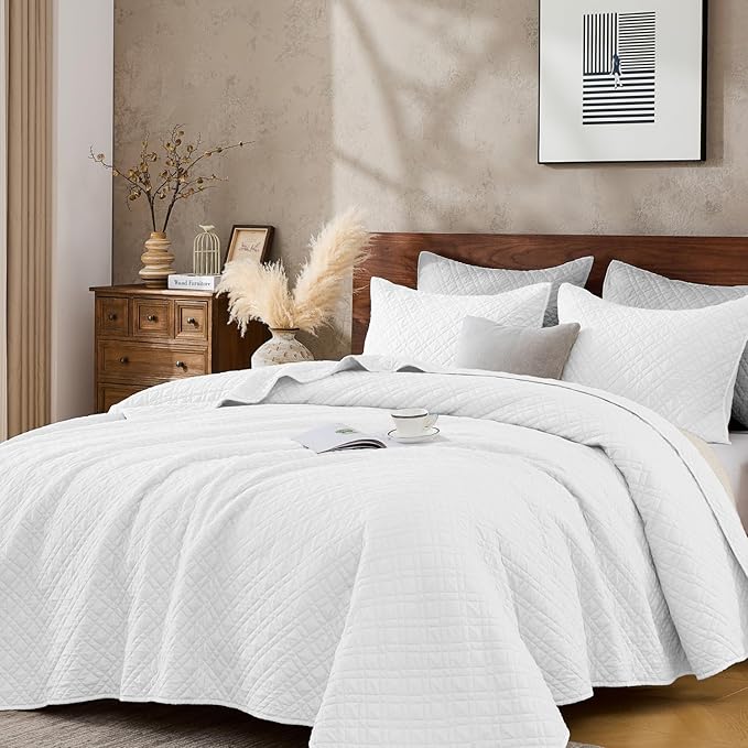 Queen Quilt Set with Shams Lightweight Quilted Bedspread Coverlet Thin Comforter Bed Cover Vintage Washed Quilted Blanket for All Season, Brushed Microfiber Diamond Stitching, White, 88"x92"