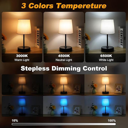 Ascher Small Bedside Table lamp, RGB Color Changing Lamps, 3 Color Temperatures Nightstand Lamps with USB C and A Ports, Touch Dimmable Desk Lamp for Bedroom Living Room(Grey Shade)