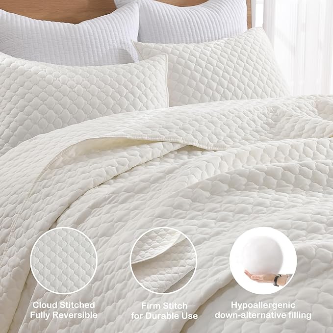 HORIMOTE HOME Cream Quilt Queen Size, Lightweight Quilts for Summer Ultra-Soft Microfiber Modern Style Quilted Clouds Pattern Bedspread Quit Set 3 Pieces(1 Quilt and 2 Pillow Shams)