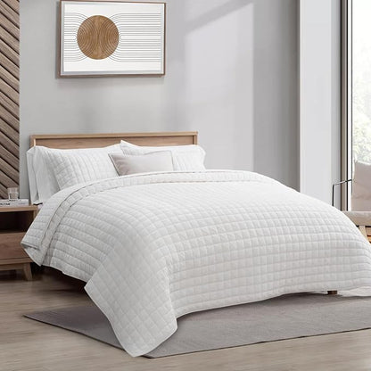 RECYCO Luxury Velvet Quilt Set Full Queen Size Bedding Sets, Ultra Soft Velvet Comforter Set, Lightweight Channel Box Stitch Oversized Bedspread Coverlet for All Season, with 2 Shams, Bright White